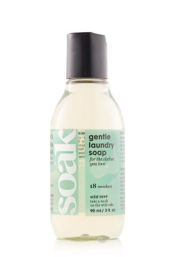 SOAK 90ML WILD MINT