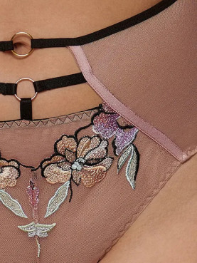 DALIA FIGI ELEONORA STRINGI