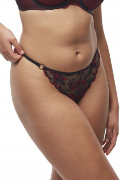 Dalia Stringi Merlot