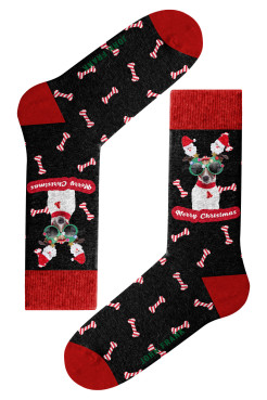 John Frank Skarpety świąteczne damskie WJFLSFUN-CH22 36-40